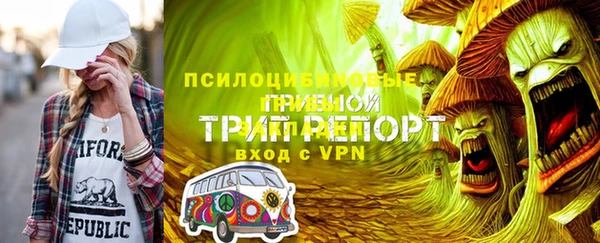 a pvp Богородицк