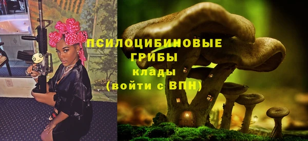 наркотики Бородино