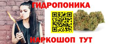 крисы Лесосибирск