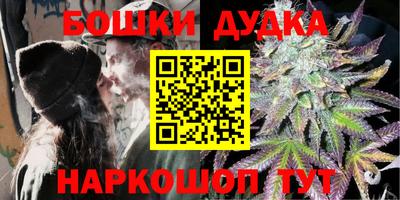 крисы Лесосибирск